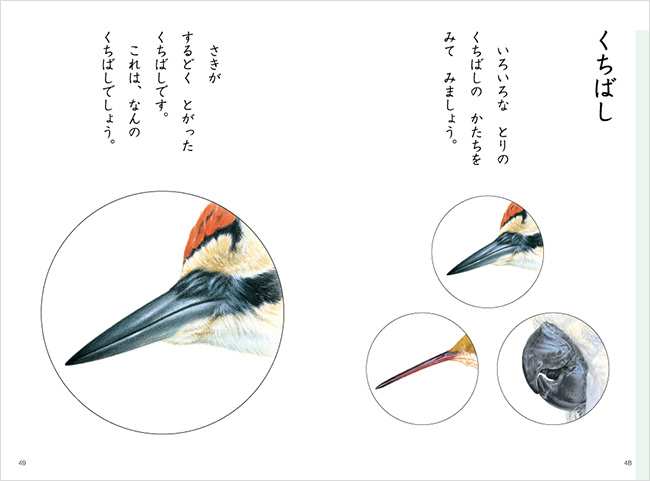 教科書の言葉 Q A 第1回 みつむら Web Magazine 光村図書出版