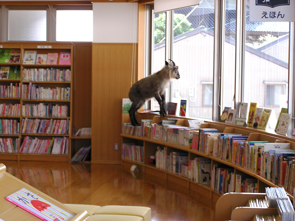 図書館へ行こう 第6回 みつむら Web Magazine 光村図書出版 図書館へ行こう 第6回 みつむら Web Magazine 光村図書出版