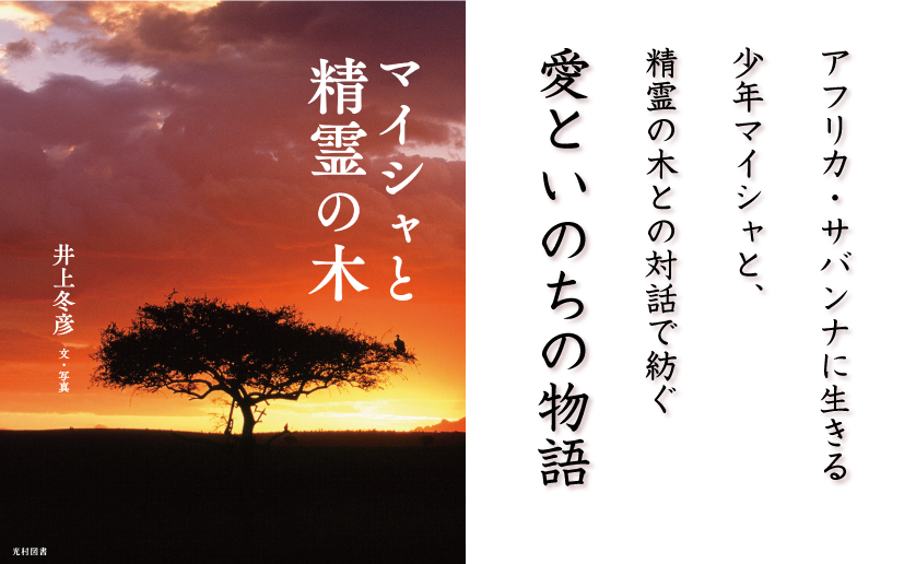 マイシャと精霊の木 みつむら Web Magazine 光村図書出版